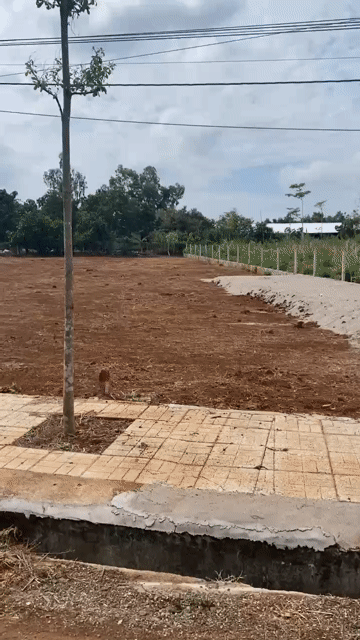 Mua bán Đất Huyện Châu Đức Bà Rịa - Vũng Tàu diện tích 156 m² giá 515 triệu