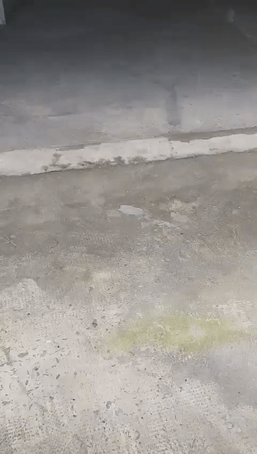 Cho thuê Đất Huyện Bình Chánh Tp Hồ Chí Minh diện tích 500 m² giá 16 triệu/tháng
