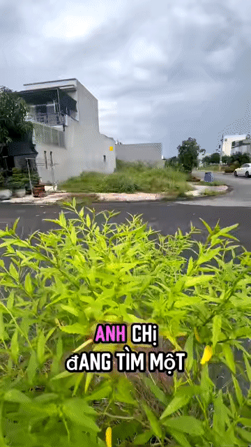 Mua bán Đất LAVENDER CITY Huyện Vĩnh Cửu Đồng Nai diện tích 147 m² giá 3,5 tỷ