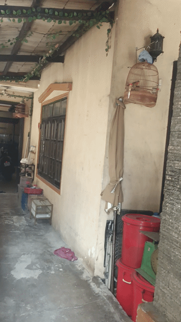 2 bộ ngũ sắc trống 2 mùa. Mua bán Chim tại Huyện Bình Chánh Tp Hồ Chí Minh được đăng bởi Q Thành hình 1