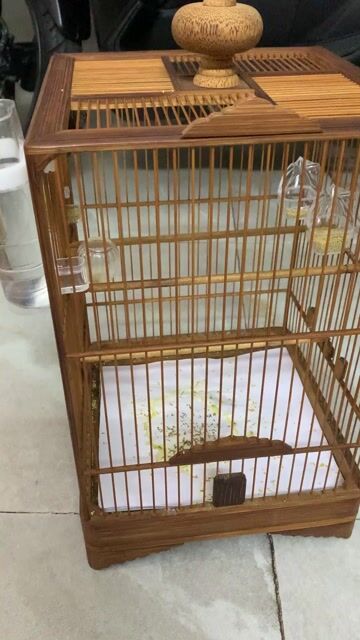 Lồng kèm chim hút mật tre nâu. Mua bán Chim tại Quận 3 Tp Hồ Chí Minh được đăng bởi Nguyễn quỳnh hình 1