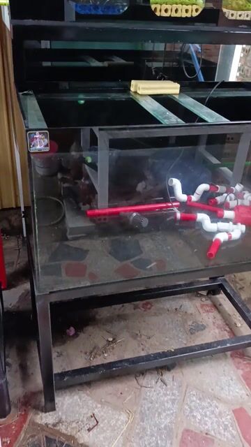 Hồ cá Kính 100x50x50cm 10li Mới. Mua bán Phụ kiện, Thức ăn, Dịch vụ tại Thị xã Phú Mỹ Bà Rịa - Vũng Tàu được đăng bởi Pets  hình 1