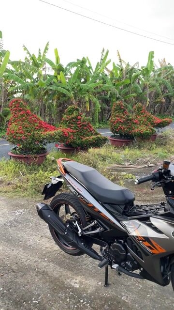 Cần Bán ExCiter 2019 Zin LED có kiển vài món nhẹ. Mua bán Xe máy tại Huyện Lai Vung Đồng Tháp được đăng bởi Trương Hữu Phát hình 1