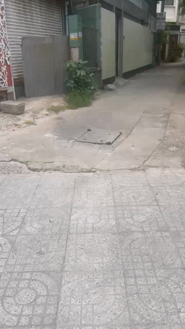 Cho thuê Nhà ở Quận Gò Vấp Tp Hồ Chí Minh diện tích 80 m² giá 13 triệu/tháng