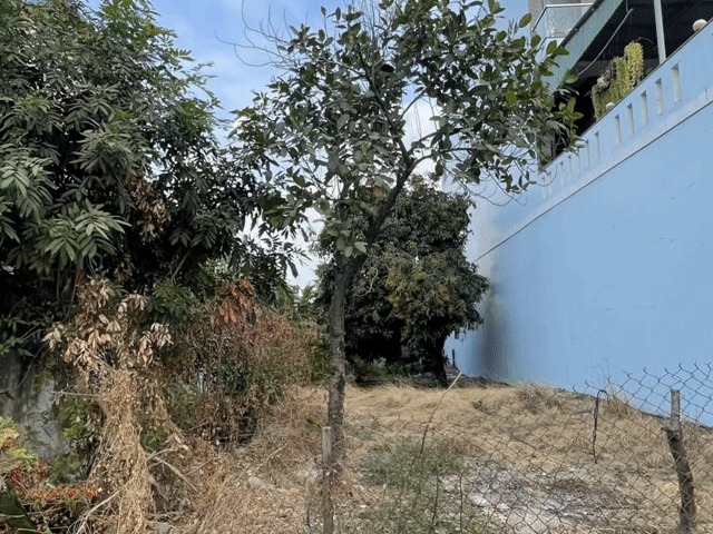 Mua bán Đất Thành phố Tây Ninh Tây Ninh diện tích 263 m² giá 4,8 tỷ