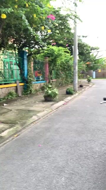 🌈Xe Vespa màu đỏ  dán keo mới  len ken 95 %. Mua bán Xe máy tại Thành phố Thủ Đức Tp Hồ Chí Minh được đăng bởi Nguyễn Thanh Bình hình 1