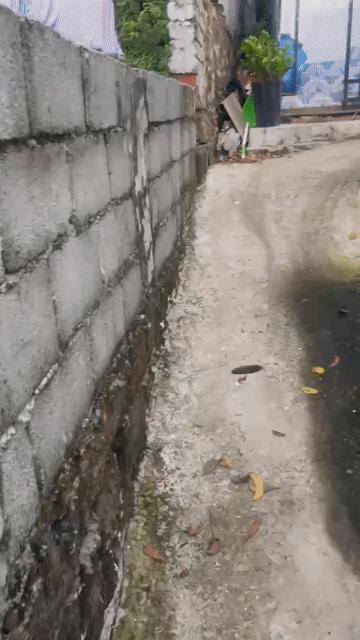 Mua bán Nhà ở Thành phố Phú Quốc Kiên Giang diện tích 103 m² giá 1,3 tỷ