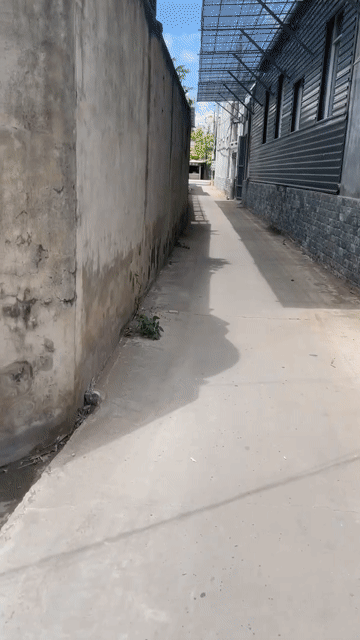 Mua bán Đất Huyện Thạnh Phú Bến Tre diện tích 243 m² giá 5 tỷ