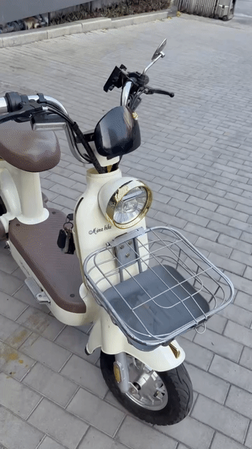 Xe đạp điện Trắng kem Mới đẹp. Mua bán Xe máy tại Quận Bình Thạnh Tp Hồ Chí Minh được đăng bởi văn vũ hình 1