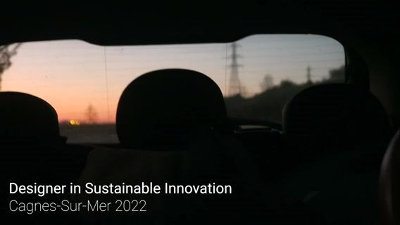 The designer in Sustainable Innovation