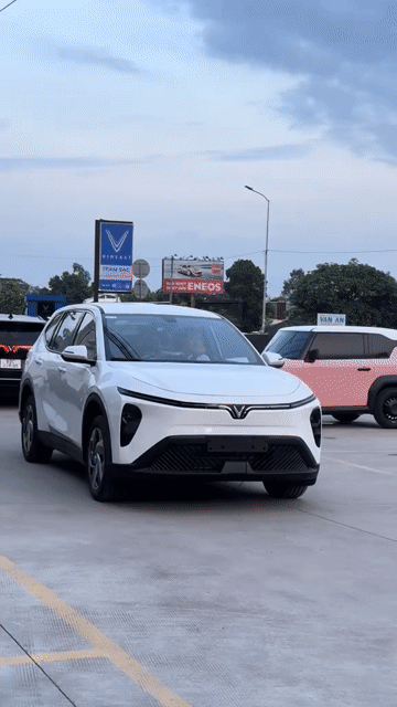 Limo Green Trắng - Vua Dịch Vụ. Mua bán Ô tô tại Quận Ngũ Hành Sơn Đà Nẵng được đăng bởi VinFast Đà Nẵng hình 1