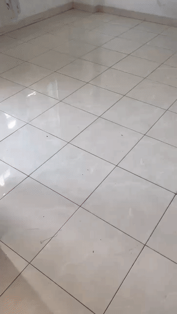 Cho thuê Nhà ở Quận 12 Tp Hồ Chí Minh diện tích 60 m² giá 8 triệu/tháng