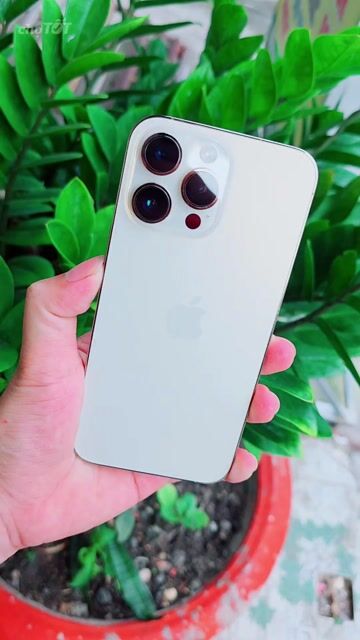 Apple iPhone 14 Pro Max Vàng Đã sử dụng. Mua bán Điện thoại tại Thành phố Thuận An Bình Dương được đăng bởi MUỘI STORE  chuyên samsung  trả góp hình 1