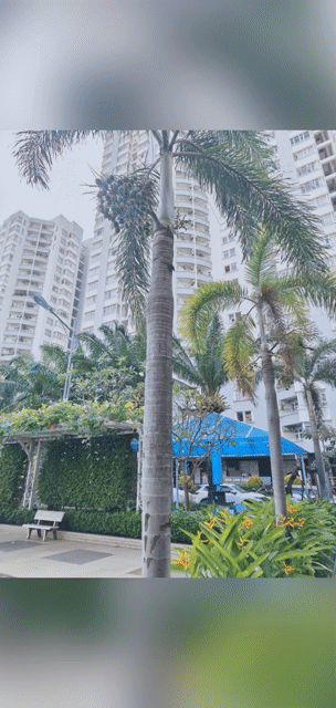 Cho thuê Căn hộ Chung cư Him Lam Chợ Lớn Quận 6 Tp Hồ Chí Minh diện tích 86 m² giá 12 triệu/tháng