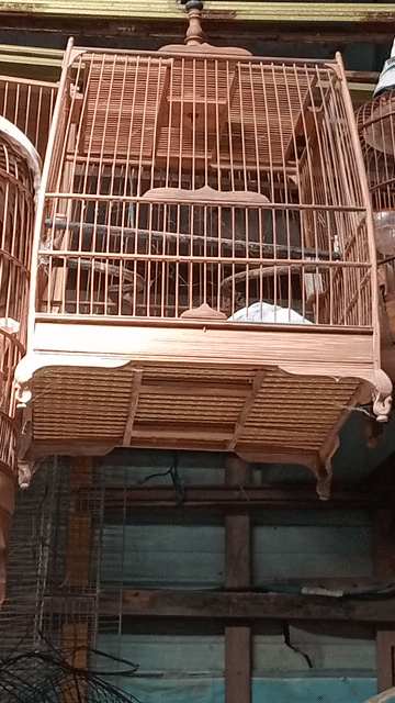 Lồng chim Gỗ Nâu. Mua bán Phụ kiện, Thức ăn, Dịch vụ tại Thành phố Sóc Trăng Sóc Trăng được đăng bởi hải p3 hình 1