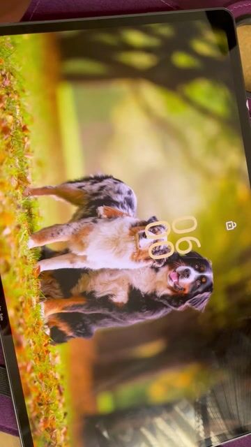 Lenovo tab P12 Pro - OLED 2K 120Hz - 6g/128gb. Mua bán Máy tính bảng tại Quận Hoàng Mai Hà Nội được đăng bởi Bùi Anh hình 1