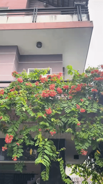 Cho thuê Nhà ở Quận 7 Tp Hồ Chí Minh diện tích 120 m² giá 25 triệu/tháng