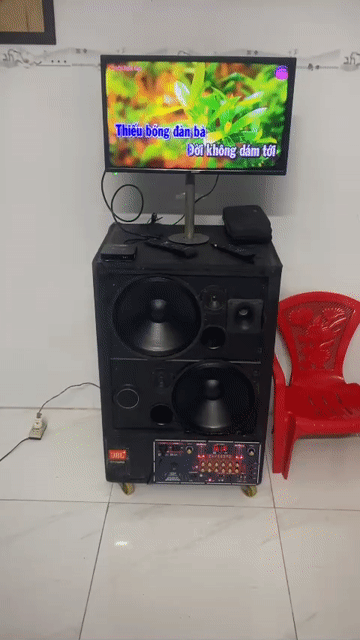 Loa kéo điện 1000W Đen. Mua bán Tivi, Âm thanh tại Huyện Hóc Môn Tp Hồ Chí Minh được đăng bởi thuận lee hình 1