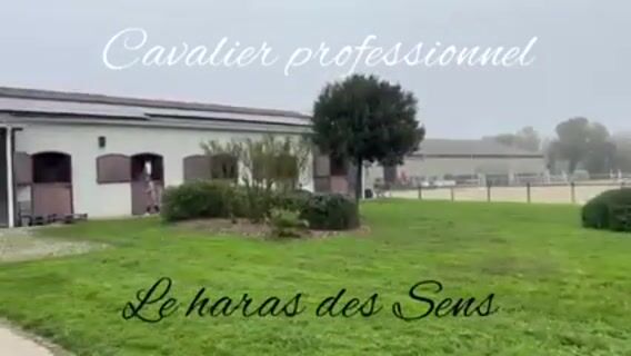 Cavalier professionnel