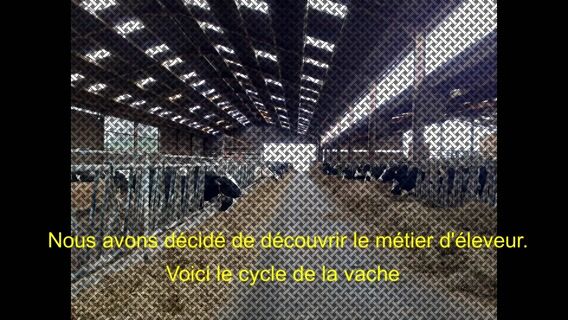 Comment élever une championne