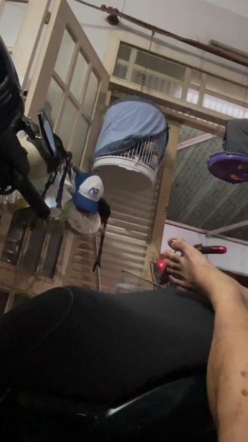 Chim cảnh Múa đuôi cánh, đá tay. Mua bán Chim tại Quận Bình Thạnh Tp Hồ Chí Minh được đăng bởi heri hình 1