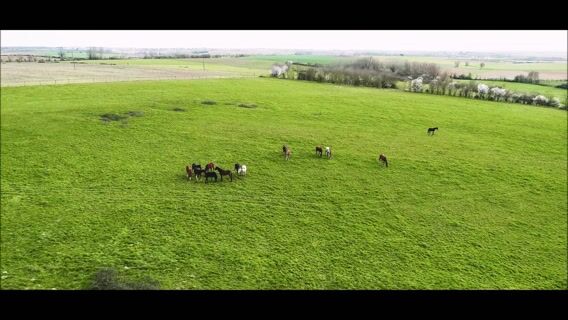 Equi' Slam de nos métiers