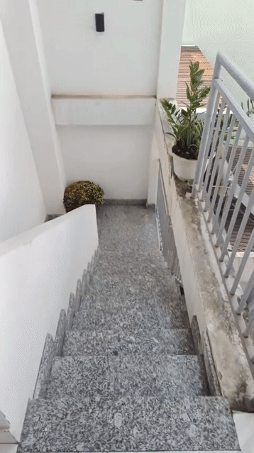Cho thuê Căn hộ Chung cư Tăng Phú House Thành phố Thủ Đức Tp Hồ Chí Minh diện tích 42 m² giá 4,5 triệu/tháng