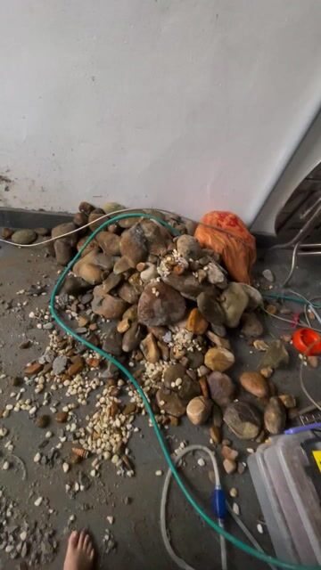 Thanh lý đá cuội , mua 3tr bán 1tr. Mua bán Cây cảnh, đồ trang trí tại Quận Ngũ Hành Sơn Đà Nẵng được đăng bởi Tanbi hình 1