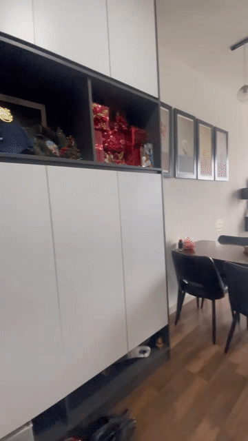Cho thuê Căn hộ Chung cư Celadon City Quận Tân Phú Tp Hồ Chí Minh diện tích 53 m² giá 12 triệu/tháng