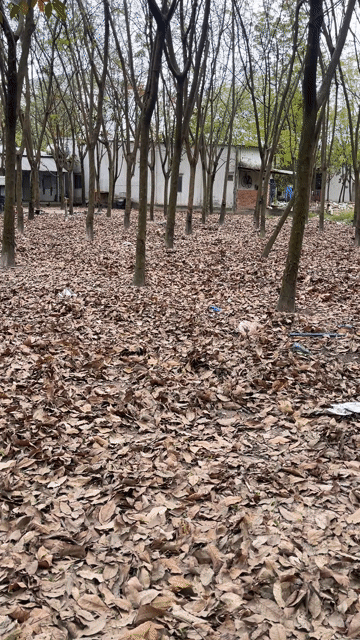 Mua bán Đất Thị xã Bến Cát Bình Dương diện tích 2597 m² giá 19 tỷ