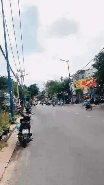 Mua bán Đất Quận 12 Tp Hồ Chí Minh diện tích 5600 m² giá 233 tỷ