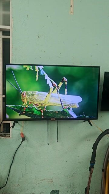 Tivi TCL 43 inch Internet. Mua bán Tivi, Âm thanh tại Thành phố Biên Hòa Đồng Nai được đăng bởi Hoàng Văn hình 1