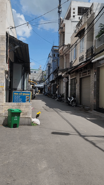 Mua bán Nhà ở Quận Gò Vấp Tp Hồ Chí Minh diện tích 50 m² giá 3,68 tỷ