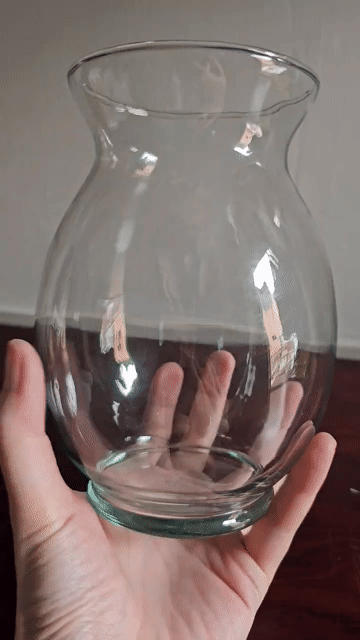 BÌNH THỦY TINH TRỒNG CÂY THỦY SINH. Mua bán Dụng cụ nhà bếp tại Quận 10 Tp Hồ Chí Minh được đăng bởi Khả Vân hình 1
