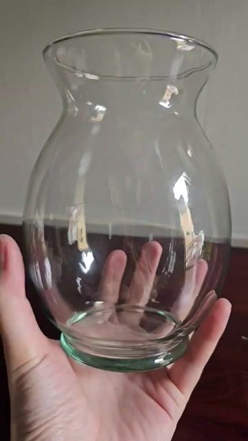 BÌNH THỦY TINH TRỒNG CÂY THỦY SINH. Mua bán Dụng cụ nhà bếp tại Quận 10 Tp Hồ Chí Minh được đăng bởi Khả Vân hình 1