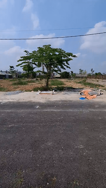 Mua bán Đất Huyện Hóc Môn Tp Hồ Chí Minh diện tích 120 m² giá 3,6 tỷ