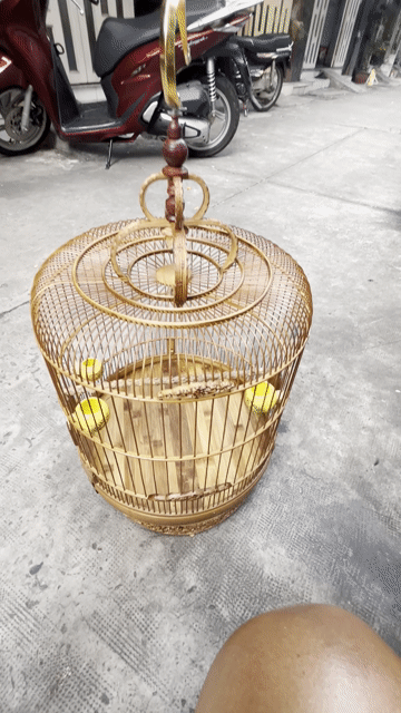 Lồng chim tre 68 nan còn rất mới. Mua bán Phụ kiện, Thức ăn, Dịch vụ tại Quận Bình Thạnh Tp Hồ Chí Minh được đăng bởi Mỹ BT hình 1