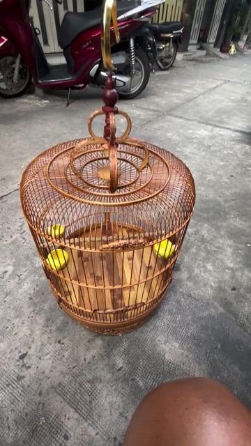 Lồng chim tre 68 nan còn rất mới. Mua bán Phụ kiện, Thức ăn, Dịch vụ tại Quận Bình Thạnh Tp Hồ Chí Minh được đăng bởi Mỹ BT hình 1