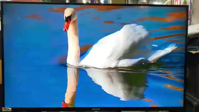 Tivi Sony 42W700B Đã sử dụng. Mua bán Tivi, Âm thanh tại Quận Tân Bình Tp Hồ Chí Minh được đăng bởi Ngocc ve chai mua ban đt trực tiếp  hình 1