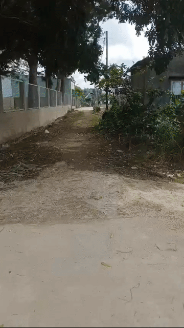Mua bán Đất Thành phố Bảo Lộc Lâm Đồng diện tích 700 m² giá 2,65 tỷ