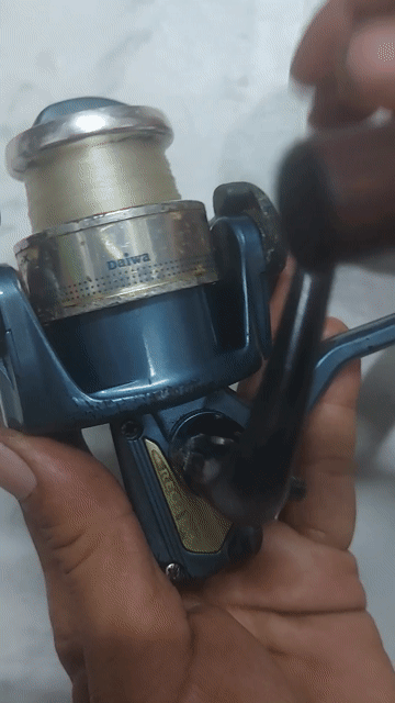 Máy câu cá Daiwa Regal-X 2000 . Mua bán Đồ thể thao, Dã ngoại tại Quận 10 Tp Hồ Chí Minh được đăng bởi Lee Bush hình 1