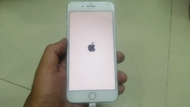 Apple iPhone 8 Plus Trắng Lỗi. Mua bán Điện thoại tại Thành phố Thủ Đức Tp Hồ Chí Minh được đăng bởi Bao Anh Deco hình 1