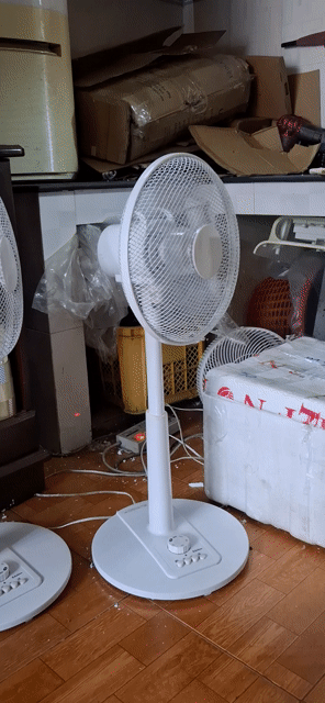 Quạt đứng Trắng Êm ái Phòng ngủ. Mua bán Quạt tại Thành phố Vũng Tàu Bà Rịa - Vũng Tàu được đăng bởi Vinh Trực hình 1