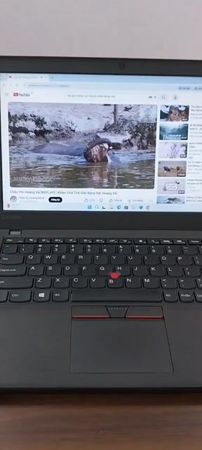Lenovo ThinkPad i5-6300U 8GB/120GB. Mua bán Laptop tại Quận Bình Thạnh Tp Hồ Chí Minh được đăng bởi huỳnh trung lâm hình 1