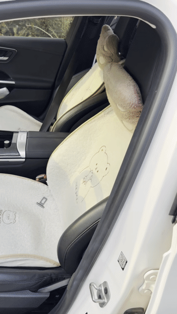 Mercedes-Benz C300 AMG 2024 Trắng Như mới. Mua bán Ô tô tại Quận Cái Răng Cần Thơ được đăng bởi Nguyễn Minh Thế hình 1