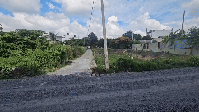Mua bán Đất Quận 12 Tp Hồ Chí Minh diện tích 260 m² giá 16 tỷ