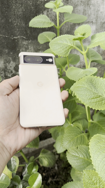 Google Pixel 8 128GB Vàng 8GB. Mua bán Điện thoại tại Quận Gò Vấp Tp Hồ Chí Minh được đăng bởi Bin Bin hình 1