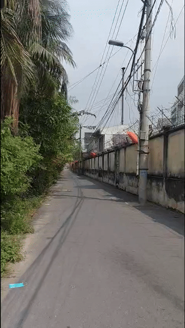Mua bán Đất Thành phố Thủ Đức Tp Hồ Chí Minh diện tích 409.7 m² giá 39 tỷ