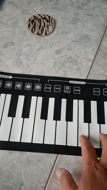 Đàn piano điện Silicon phím cuộn cho trẻ em. Mua bán Nhạc cụ tại Thành phố Thuận An Bình Dương được đăng bởi Loan bd  hình 1