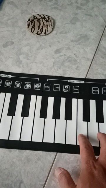 Đàn piano điện Silicon phím cuộn cho trẻ em. Mua bán Nhạc cụ tại Thành phố Thuận An Bình Dương được đăng bởi Loan bd  hình 1